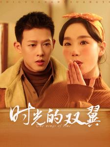 时光的双翼(94集) 时光的双翼(94集)最后的大结局