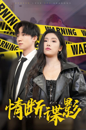 情断谍影（30集） 在哪个app能看