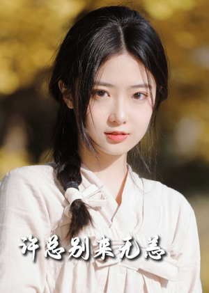 许总别来无恙(50集)  许总别来无恙(50集) 解说