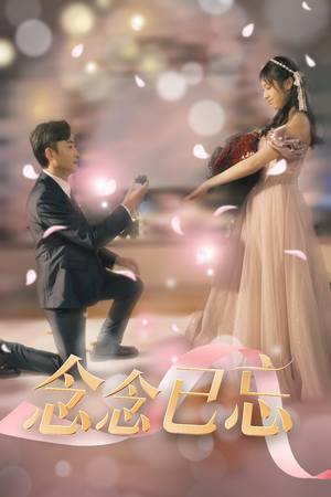 念念已忘（30集） 精彩短剧天天看