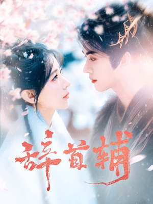 辞首辅(80集)  辞首辅(80集) 解说