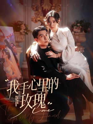 我手心里的玫瑰（91集） 短视频追剧推荐