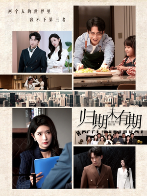 归期未有期（60集） 免费版