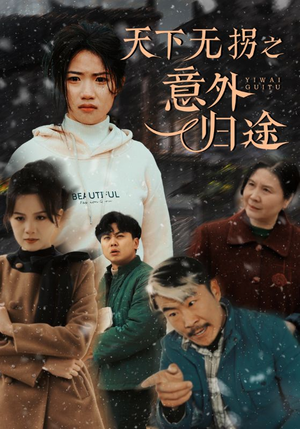 天下无拐之意外归途(61集)  天下无拐之意外归途(61集) 短剧免费看