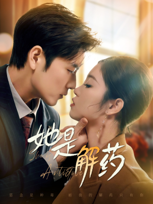 她是解药(62集)  她是解药(62集) 全集下载