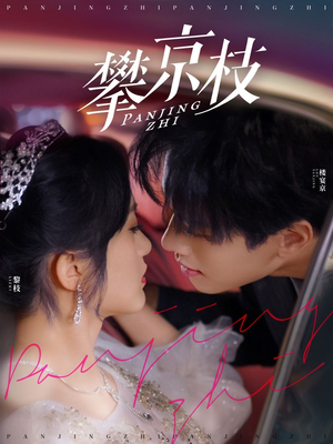 攀京枝(80集)  攀京枝(80集) 精彩短剧合集