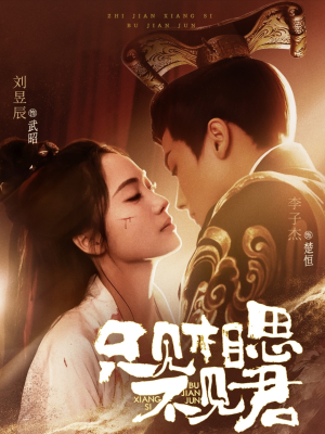 只见相思不见君（82集） 直接看到大结局