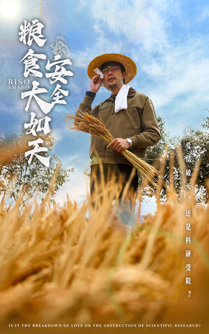 粮食安全大如天(43集)  粮食安全大如天(43集) 精彩短剧来了