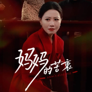 妈妈的苦衷（32集） 热门短剧推广