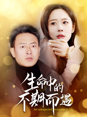生命中的不期而遇（35集） 短剧更新抢先看