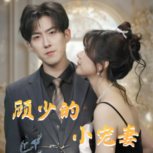 顾少的小宠妻(90集) 顾少的小宠妻(90集)最后的大结局