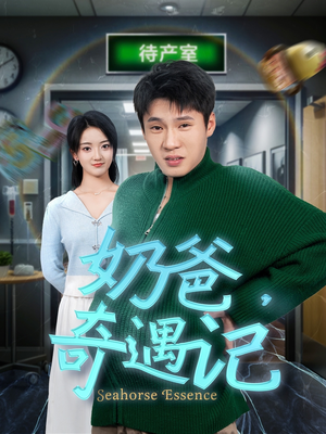 奶爸奇遇记(60集)  奶爸奇遇记(60集) 短剧太好看了