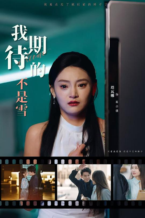 我期待的不是雪（30集）精彩的短剧