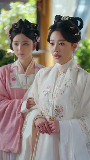 明月入卿怀（65集） 全集完整版