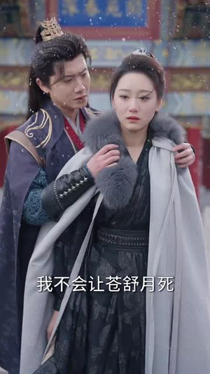 智驭权谋将军的童养夫(81集)  智驭权谋将军的童养夫(81集) 大结局太过瘾了