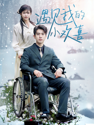 遇见我的小欢喜(70集)  遇见我的小欢喜(70集) 免费版