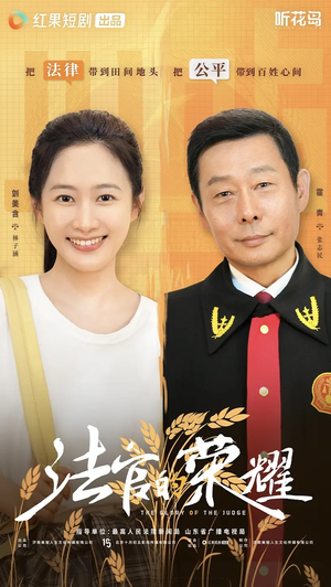 法官的荣耀(5集全) 法官的荣耀(5集全)高清画质免费看
