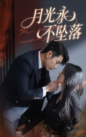 月光永不坠落（61集） 在哪看免费