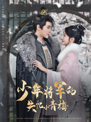 少年将军的失忆小青梅(100集) 少年将军的失忆小青梅(100集)全集免费观看
