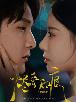 烬爱无痕(92集) 烬爱无痕(92集)在线观看