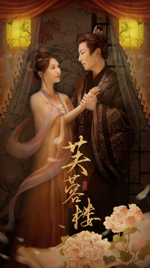 芙蓉楼（50集） 去哪里看