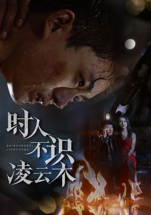 时人不识凌云木（51集）在线播放