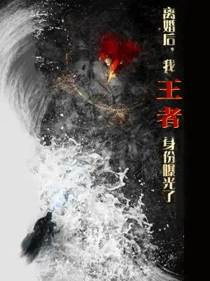 离婚后,我王者身份曝光了(80集) 离婚后,我王者身份曝光了(80集)短剧全集抢先看