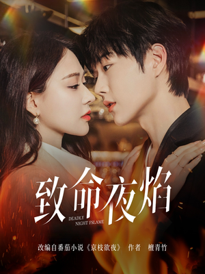 致命夜焰（80集） 看到了大结局