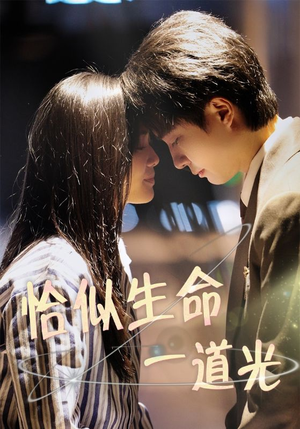 恰似生命一道光(60集)  恰似生命一道光(60集) 女频短剧推荐