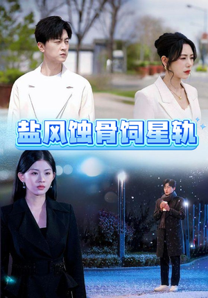 盐风蚀骨饲星轨(60集)  盐风蚀骨饲星轨(60集) 精彩的网络短剧
