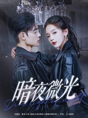 暗夜微光(86集) 暗夜微光(86集)免费热门短剧