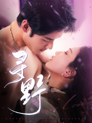 寻野（100集）短剧太精彩了