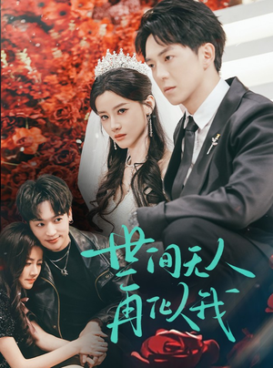 世间无人再似我(32集)  世间无人再似我(32集) 好看吗