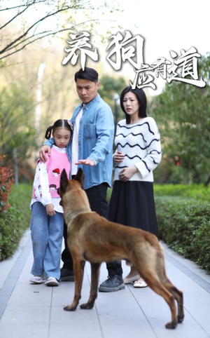 养狗应有道（60集）第32集