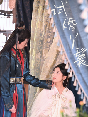 试婚丫鬟(76集) 试婚丫鬟(76集)80到100集