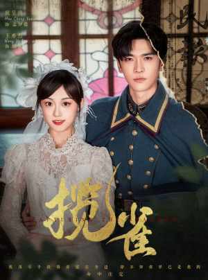 揽雀(61集) 揽雀(61集)爱短剧爱追剧