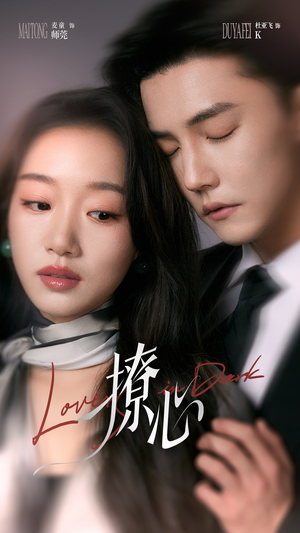 暗撩(80集) 暗撩(80集)免费在线看