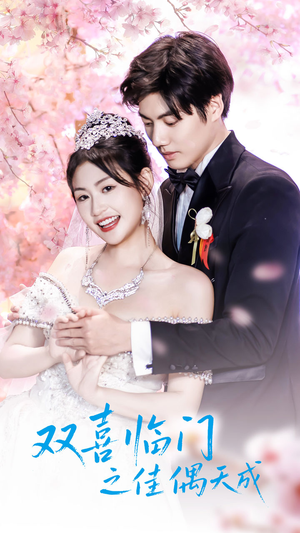 双喜临门之佳偶天成(42集) 双喜临门之佳偶天成(42集)简直不要太好看