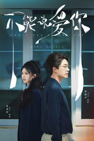 不能说爱你（64集）分享好看的短剧