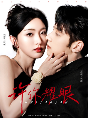 许你耀眼（84集）大结局一气呵成