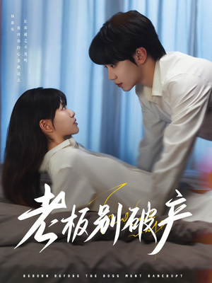 老板别破产（72集）每日分享短剧