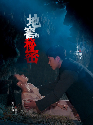 地窖的秘密（40集）免费版