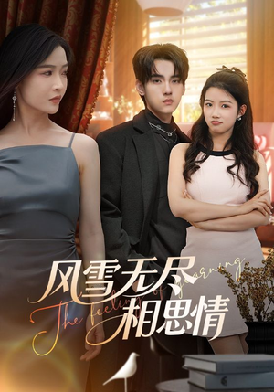 风雪无尽相思情(61集) 风雪无尽相思情(61集)在线看