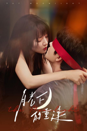 月光下的重逢（54集）去哪里看