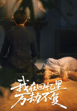 我在回忆里万劫不复(60集) 我在回忆里万劫不复(60集)在哪里可以全集