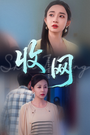 收网（60集）热播古装短剧