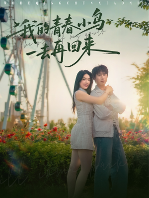 我的青春小鸟一去再回来(95集) 我的青春小鸟一去再回来(95集)看到了大结局