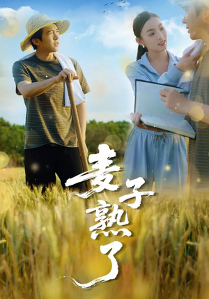 麦子熟了(52集) 麦子熟了(52集)爆款短剧一起追