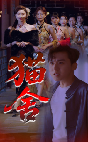 猫舍（34集）免费短剧资源