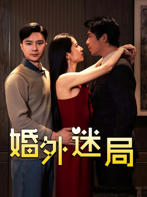 婚外迷局（28集）热门短剧推荐。